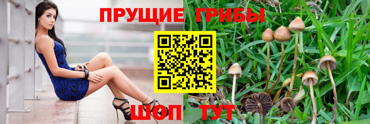 Псилоцибиновые грибы Cubensis  Вход с VPN  Ярцево  Галлюциногенные грибы MAGIC MUSHROOMS 